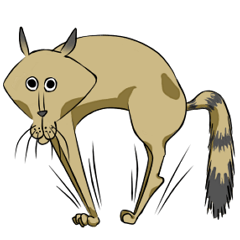 ぶねこ