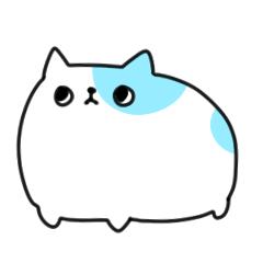 左上を見る猫