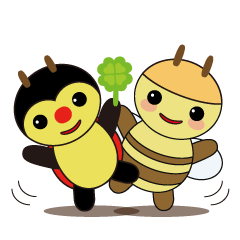 コチパ