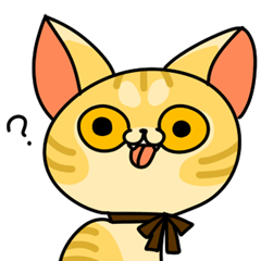 猫みかんさん