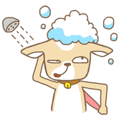 Chiwanwan sticker 2