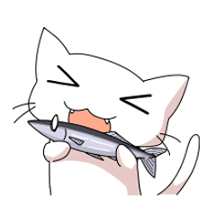 しろにゃんこ