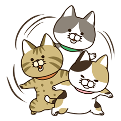 ななねこ