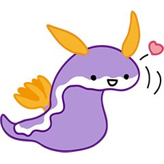 不思議かわいい!海洋生物たち