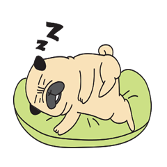 アダイちゃんの生活