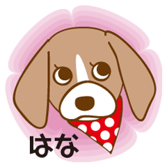 きまぐれビーグルはな