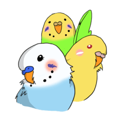 わがやのいんこさん!
