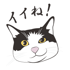 ぬこの気持ち