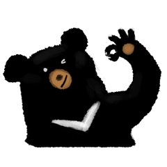 BLACK BEAR