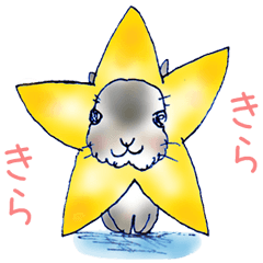 ちいさなちいさなUsagiのおはなし