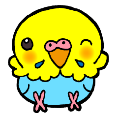 かわいんこ(セキセイインコ)