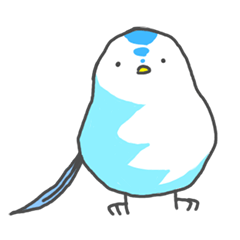 しまどり