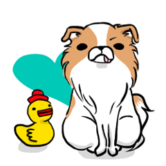 たれ耳チワワぺろこちゃん