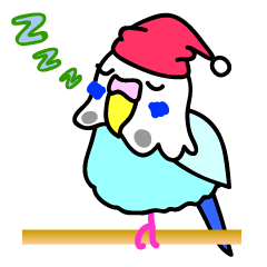 インコのあおちゃん