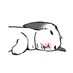 妹うさぎ