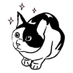 猫である。