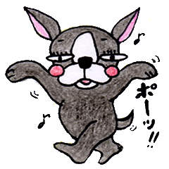 お調子者☆ボストンテリアのモップくん!