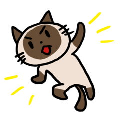 シャムにゃんこ
