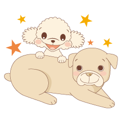 コットン&ウリンクル