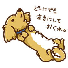 愛犬かるびの事情