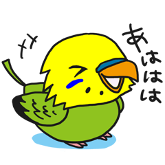 セキセイインコ 基本編