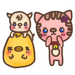 子猫のアルマ