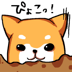 犬日和。