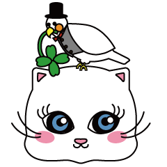 カワイイネコチャン