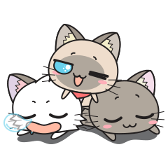 Hoshi & Luna Diary 4