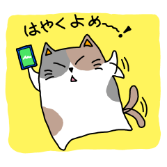 ぽちゃネコ達からのメッセージ