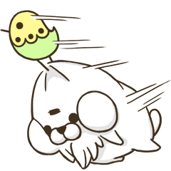 ビリマリ かわいい動物たち