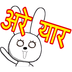 The rabbit which is full of expressions9