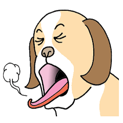 ザ・犬