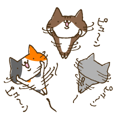 ネコトリオ