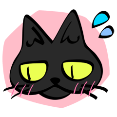 Sunahitsu the cat
