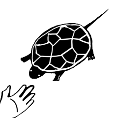 Tortoise life