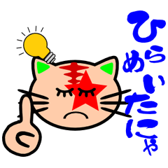 調子のってる派手なネコ