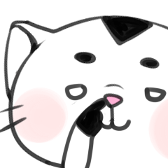 関西野良ネコ