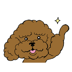 トイプー☆トイプードル祭り！