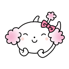 トイプードル こりんちゃん1