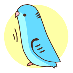 サザナミインコのポッケ