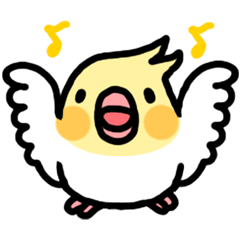 オカメインコ「おかめいんこっこ」