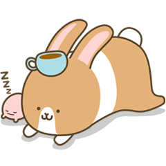 モカトッキ