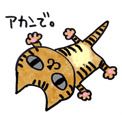 大阪弁チョコチル