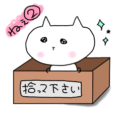 しろねこ