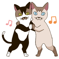 とうふとひじき