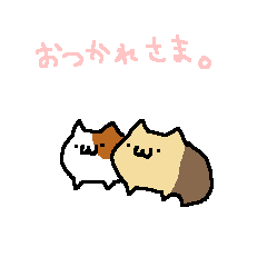 モルモットのもかちーの