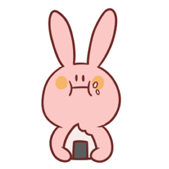USAGI