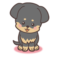 うちの犬