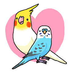 マルとピーコ